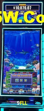 Daily Bonuses 9FLL